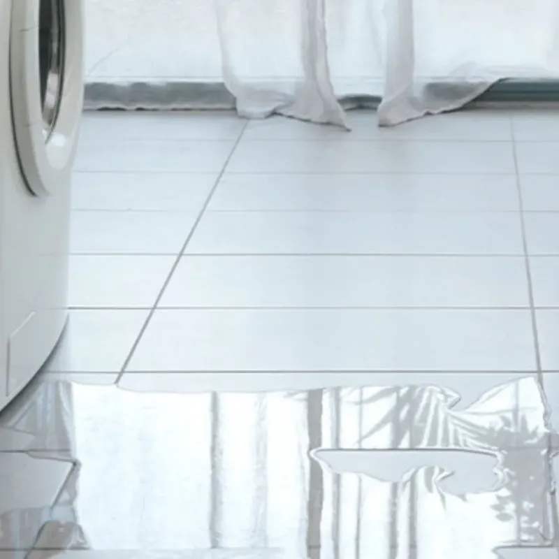 Appliance Leak Cleanup in Duncanville, TX